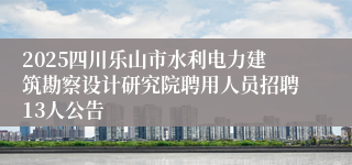 2025四川乐山市水利电力建筑勘察设计研究院聘用人员招聘13人公告