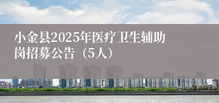 小金县2025年医疗卫生辅助岗招募公告（5人）