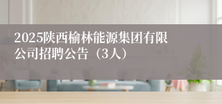 2025陕西榆林能源集团有限公司招聘公告（3人）