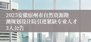 2025安徽宿州市自然资源勘测规划设计院引进紧缺专业人才3人公告