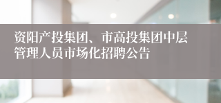 资阳产投集团、市高投集团中层管理人员市场化招聘公告