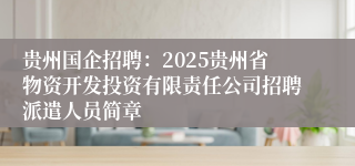 贵州国企招聘：2025贵州省物资开发投资有限责任公司招聘派遣人员简章