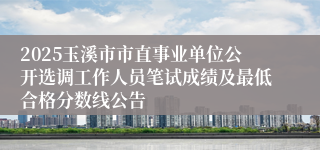 2025玉溪市市直事业单位公开选调工作人员笔试成绩及最低合格分数线公告