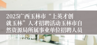 2025广西玉林市“上英才创就玉林”人才招聘活动玉林市自然资源局所属事业单位招聘人员聘用前公示