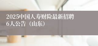 2025中国人寿财险最新招聘6人公告（山东）