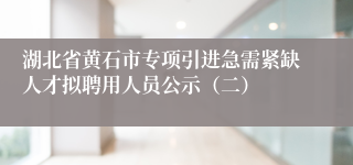 湖北省黄石市专项引进急需紧缺人才拟聘用人员公示（二）