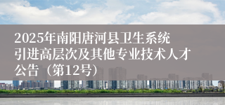 2025年南阳唐河县卫生系统引进高层次及其他专业技术人才公告（第12号）