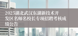 2025湖北武汉东湖新技术开发区名师名校长专项招聘考核成绩公告