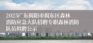2025广东揭阳市揭东区森林消防应急大队招聘专职森林消防队员拟聘公示