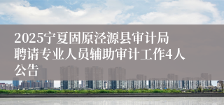 2025宁夏固原泾源县审计局聘请专业人员辅助审计工作4人公告