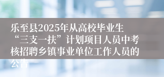 乐至县2025年从高校毕业生“三支一扶”计划项目人员中考核招聘乡镇事业单位工作人员的公告