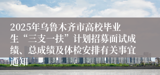 2025年乌鲁木齐市高校毕业生“三支一扶”计划招募面试成绩、总成绩及体检安排有关事宜通知