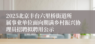 2025北京丰台六里桥街道所属事业单位面向期满乡村振兴协理员招聘拟聘用公示