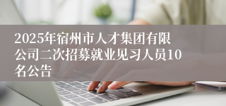 2025年宿州市人才集团有限公司二次招募就业见习人员10名公告