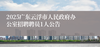2025广东云浮市人民政府办公室招聘聘员1人公告
