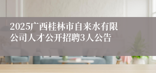 2025广西桂林市自来水有限公司人才公开招聘3人公告