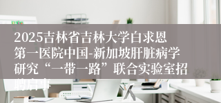 2025吉林省吉林大学白求恩第一医院中国-新加坡肝脏病学研究“一带一路”联合实验室招聘启事