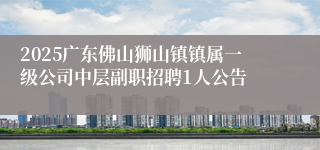 2025广东佛山狮山镇镇属一级公司中层副职招聘1人公告