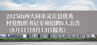 2025山西大同市灵丘县优秀村党组织书记专项招聘6人公告（8月11日8月13日报名）