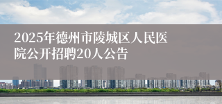 2025年德州市陵城区人民医院公开招聘20人公告