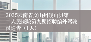 2025云南省文山州砚山县第二人民医院第九期招聘编外驾驶员通告（1人）