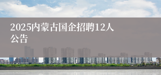 2025内蒙古国企招聘12人公告