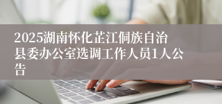 2025湖南怀化芷江侗族自治县委办公室选调工作人员1人公告