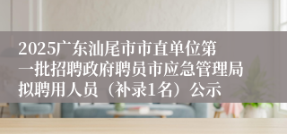 2025广东汕尾市市直单位第一批招聘政府聘员市应急管理局拟聘用人员（补录1名）公示