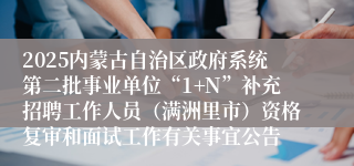 2025内蒙古自治区政府系统第二批事业单位“1+N”补充招聘工作人员（满洲里市）资格复审和面试工作有关事宜公告