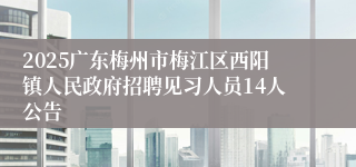 2025广东梅州市梅江区西阳镇人民政府招聘见习人员14人公告