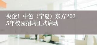 央企！中色（宁夏）东方2025年校园招聘正式启动