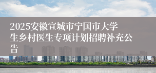 2025安徽宣城市宁国市大学生乡村医生专项计划招聘补充公告