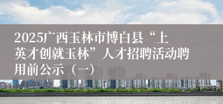 2025广西玉林市博白县“上英才创就玉林”人才招聘活动聘用前公示（一）