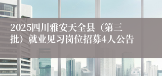 2025四川雅安天全县（第三批）就业见习岗位招募4人公告