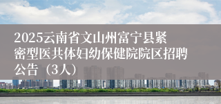 2025云南省文山州富宁县紧密型医共体妇幼保健院院区招聘公告（3人）