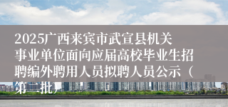 2025广西来宾市武宣县机关事业单位面向应届高校毕业生招聘编外聘用人员拟聘人员公示（第二批）
