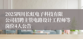 2025四川长虹电子科技有限公司招聘主管电路设计工程师等岗位4人公告