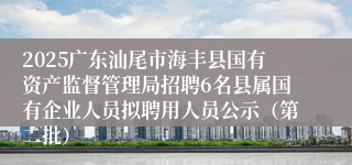 2025广东汕尾市海丰县国有资产监督管理局招聘6名县属国有企业人员拟聘用人员公示（第二批）