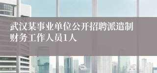 武汉某事业单位公开招聘派遣制财务工作人员1人