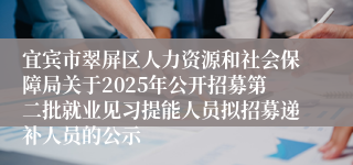 宜宾市翠屏区人力资源和社会保障局关于2025年公开招募第二批就业见习提能人员拟招募递补人员的公示