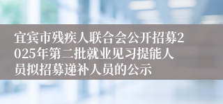 宜宾市残疾人联合会公开招募2025年第二批就业见习提能人员拟招募递补人员的公示