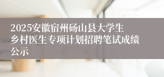 2025安徽宿州砀山县大学生乡村医生专项计划招聘笔试成绩公示