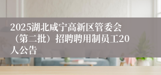 2025湖北咸宁高新区管委会（第二批）招聘聘用制员工20人公告