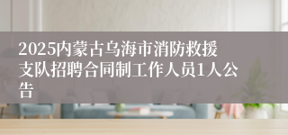 2025内蒙古乌海市消防救援支队招聘合同制工作人员1人公告