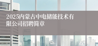 2025内蒙古中电储能技术有限公司招聘简章