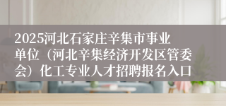 2025河北石家庄辛集市事业单位（河北辛集经济开发区管委会）化工专业人才招聘报名入口