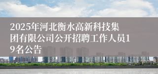 2025年河北衡水高新科技集团有限公司公开招聘工作人员19名公告