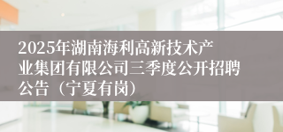 2025年湖南海利高新技术产业集团有限公司三季度公开招聘公告（宁夏有岗）