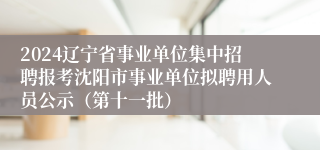 2024辽宁省事业单位集中招聘报考沈阳市事业单位拟聘用人员公示（第十一批）