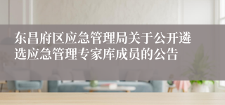 东昌府区应急管理局关于公开遴选应急管理专家库成员的公告